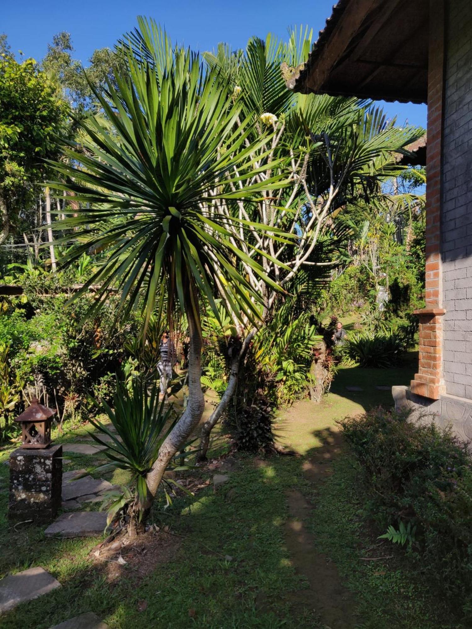 Dina Home Stay At Desa Wisata Wongayagede จาตีลูวีห์ ภายนอก รูปภาพ