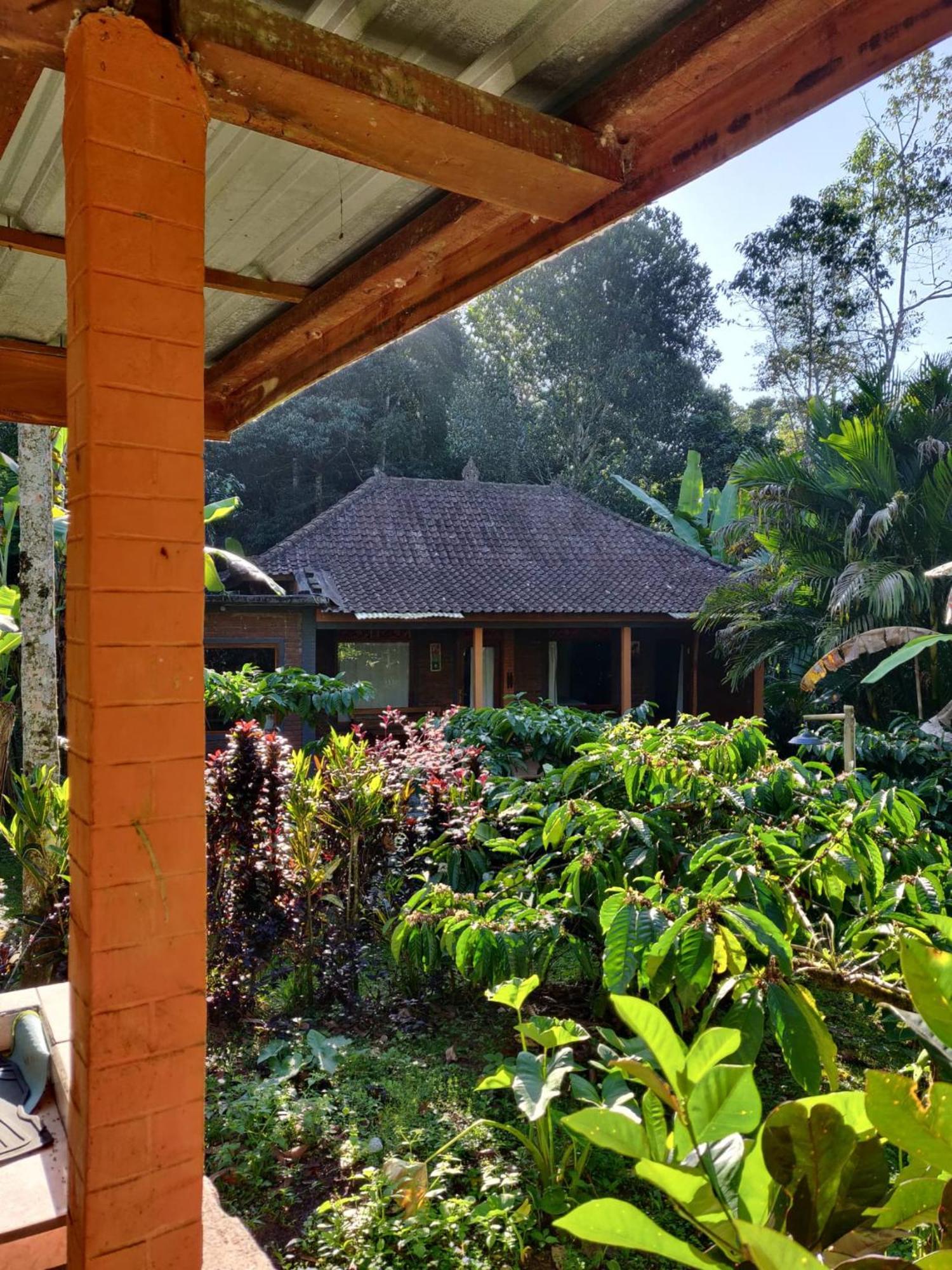 Dina Home Stay At Desa Wisata Wongayagede จาตีลูวีห์ ภายนอก รูปภาพ