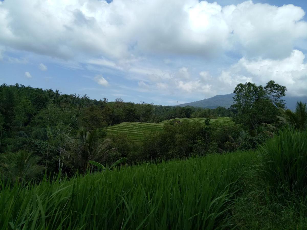 Dina Home Stay At Desa Wisata Wongayagede จาตีลูวีห์ ภายนอก รูปภาพ